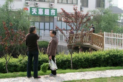点击见大图