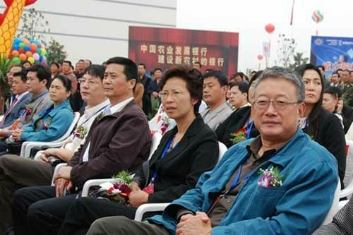 点击见大图